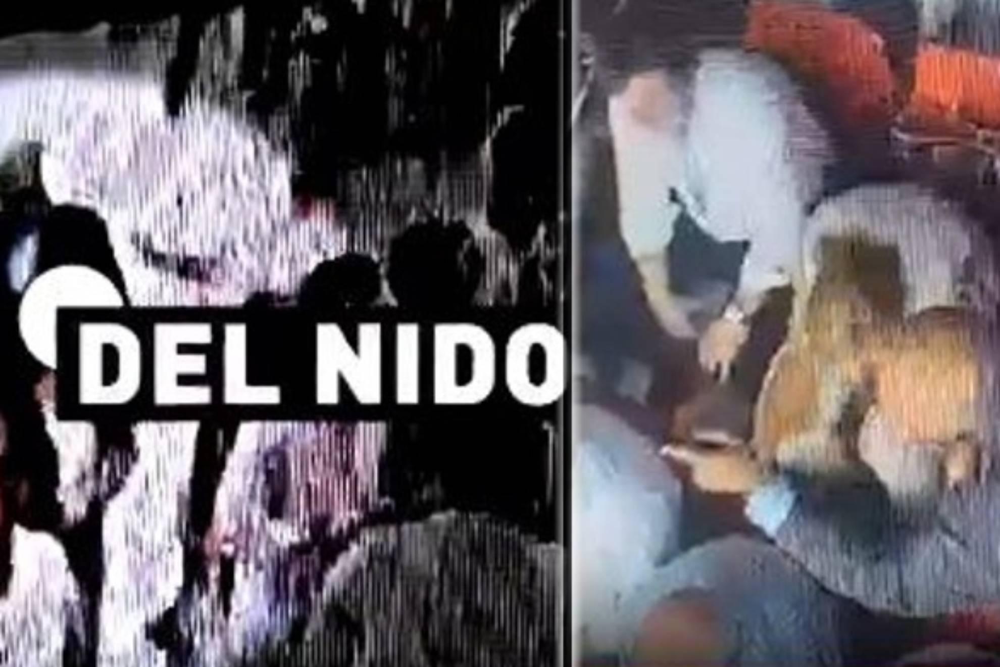 他们在世俱 他们在世俱