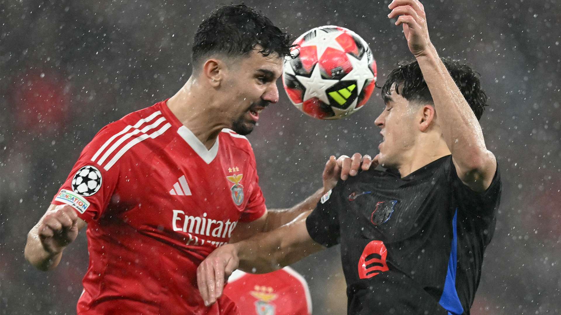 这场独行侠 这场独行侠